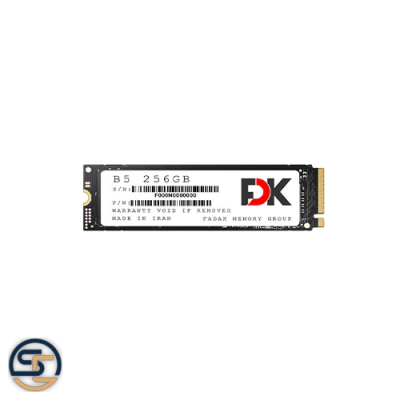 حافظه SSD M.2 NVME B5 256GB FDK